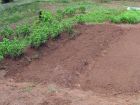 Amender le sol du potager
