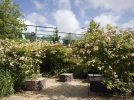 Le jardin du muse du quai Branly (75)