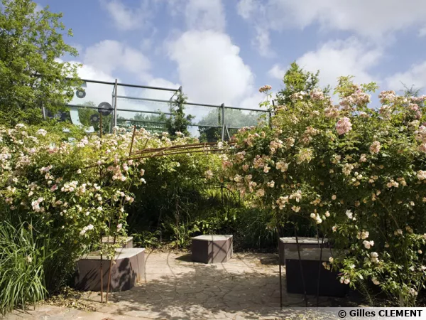 Jardin du quai Branly, la pergola