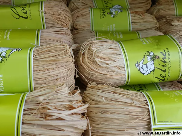 Raphia naturel en vente en rayon dans une jardinerie