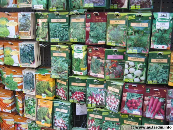 Un rayon de graines dans une jardinerie