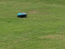 Les robots tondeuses, un intrt grandissant
