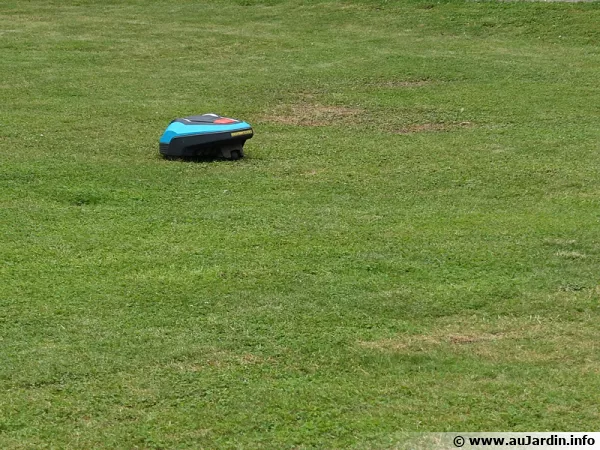 Un robot tondeuse à l'oeuvre au milieu de la pelouse