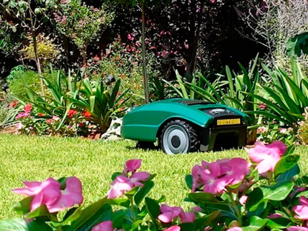Les robots tondeuses