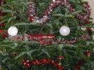 Le sapin de Nol
