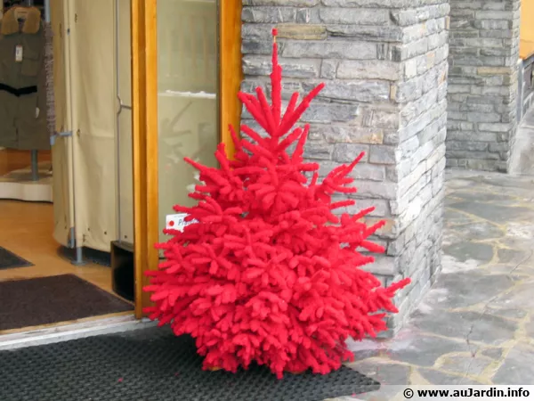 Sapin de Noël et environnement
