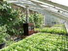 10 astuces pour optimiser l'espace dans une serre de jardin