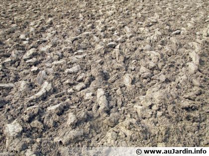 Faut-il retourner le sol ?