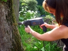 La dvitalisation d'une souche d'arbre