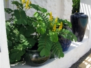Balcon et terrasse