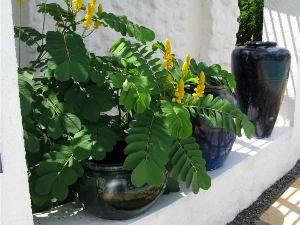 Balcon et terrasse