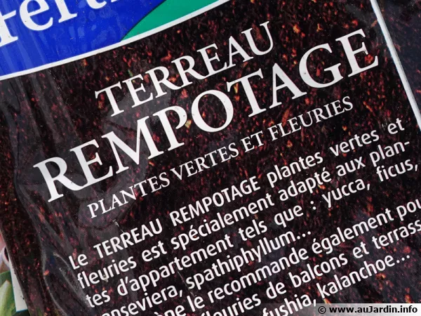 Terreau de rempotage disponible dans le commerce