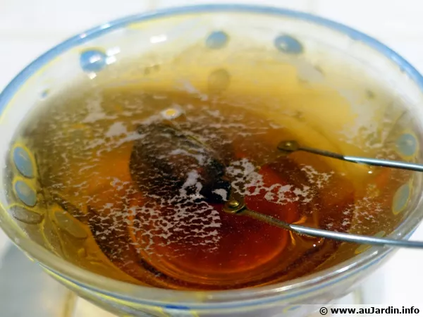 Le thé infuse ...