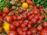 La culture de la tomate selon Pascal Poot