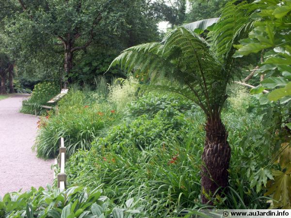 Zonne tropicale du zoo de Champrepus