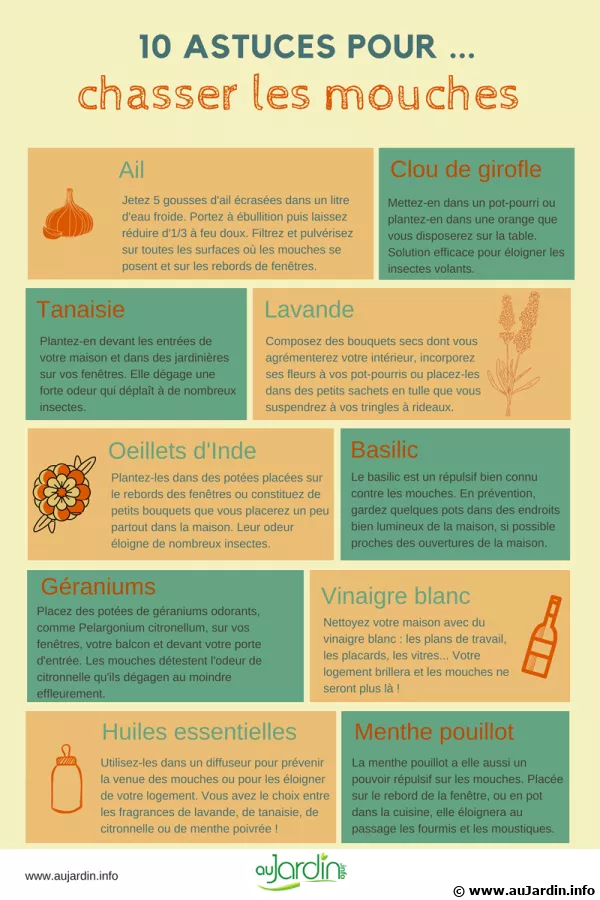 10 astuces pour chasser les mouches