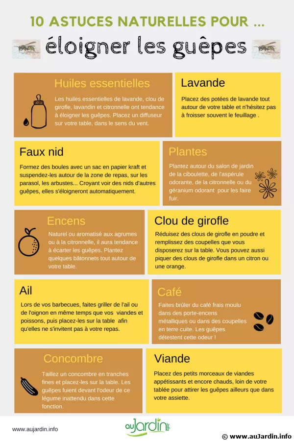 10 astuces naturelles pour loigner les gupes