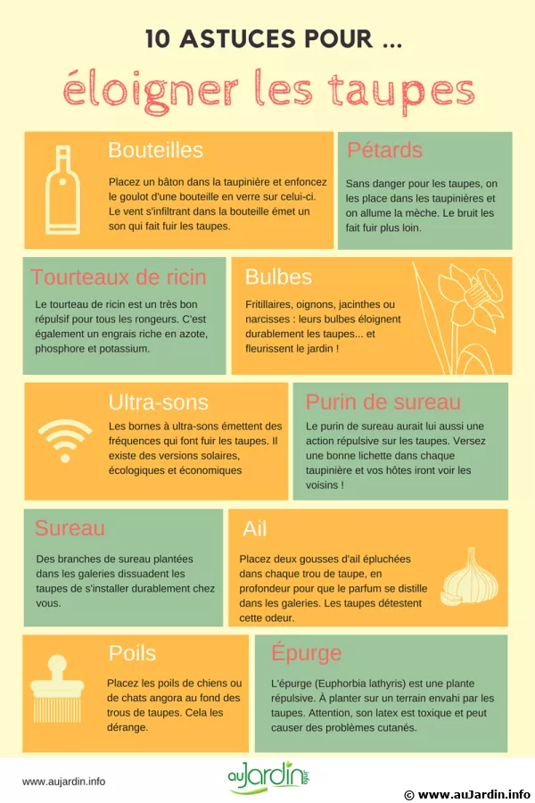10 astuces pour loigner les taupes