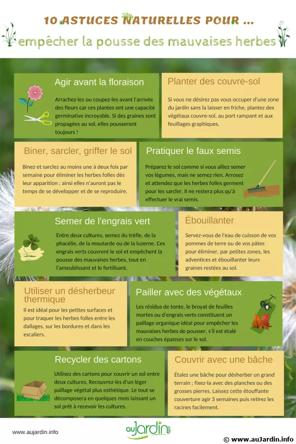 10 astuces naturelles pour empcher la pousse des mauvaises herbes