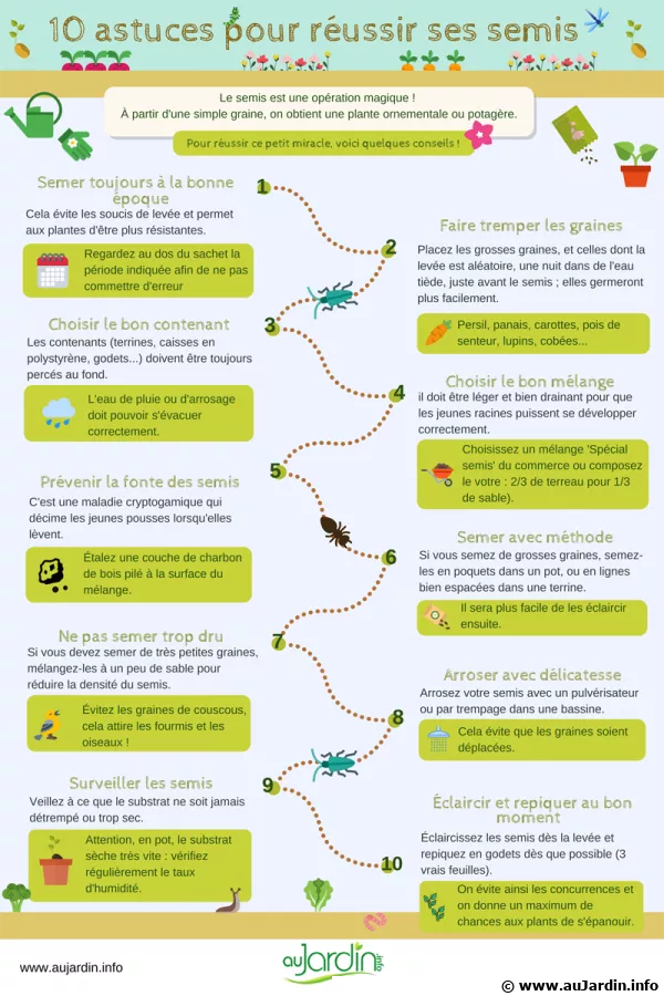 10 astuces pour russir ses semis