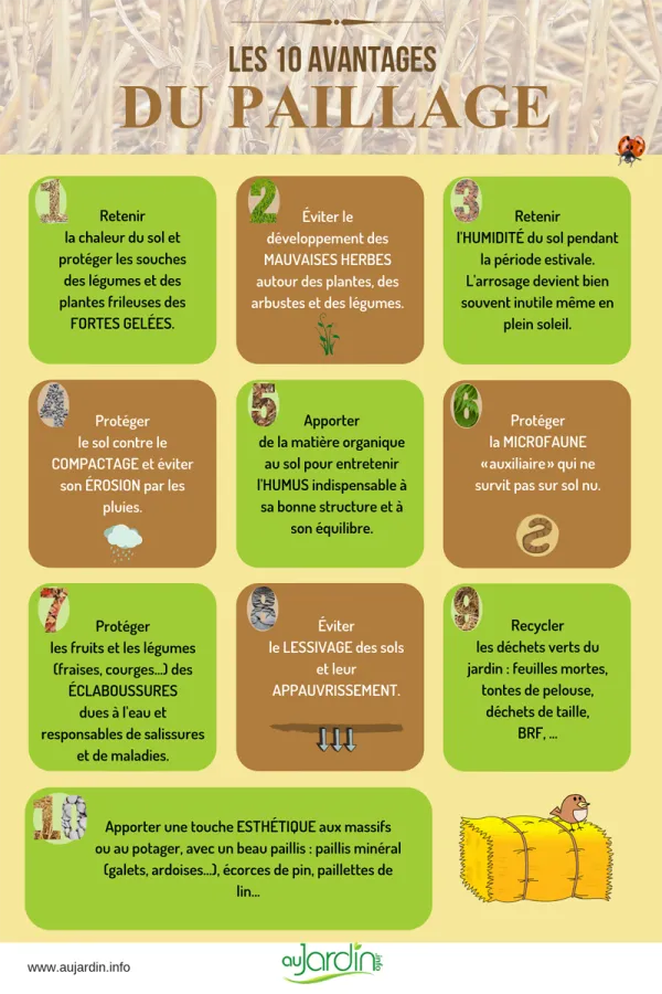 Les 10 avantages du paillage
