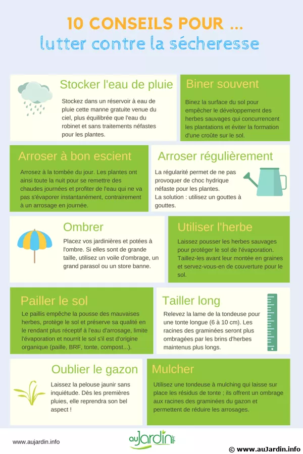 10 conseils pour lutter contre la scheresse