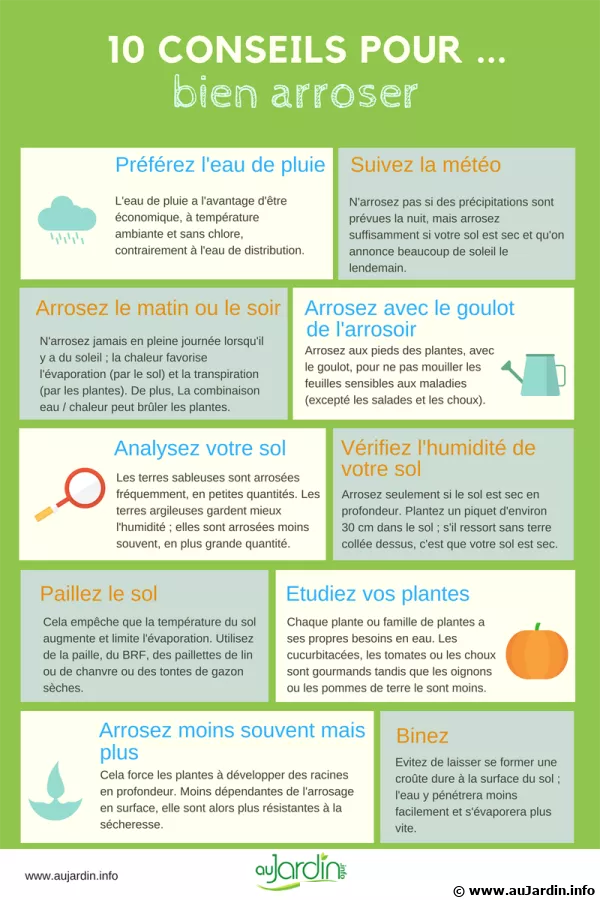 10 conseils pour bien arroser