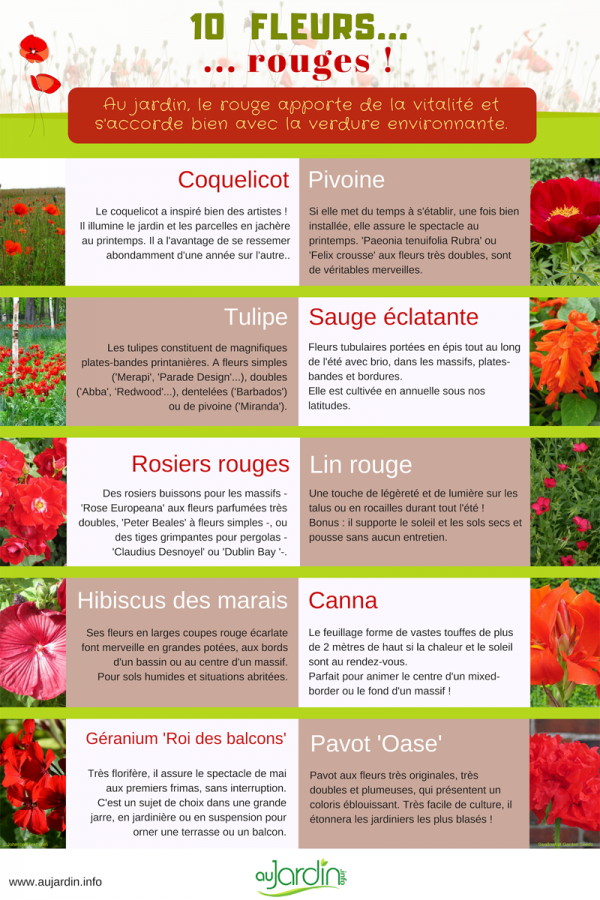 10 fleurs rouges pour le jardin