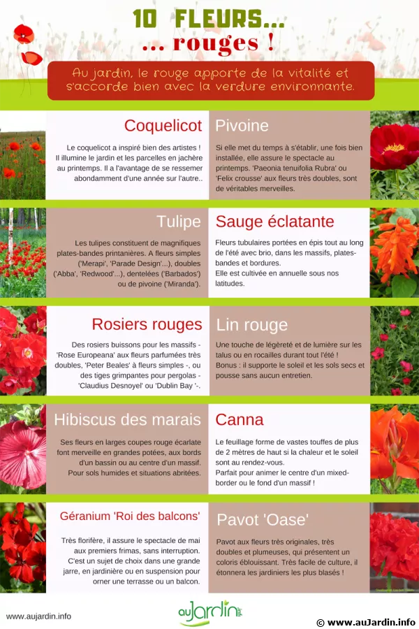 10 fleurs rouges pour le jardin