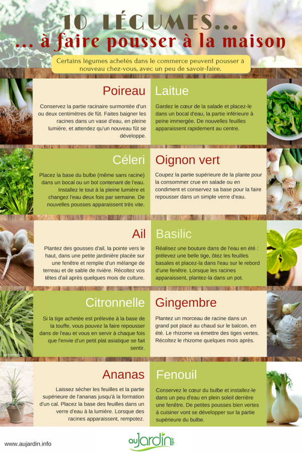 10 légumes à faire pousser à la maison