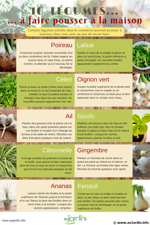 10 lgumes  faire pousser  la maison