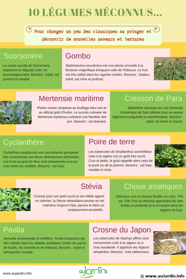10 lgumes mconnus