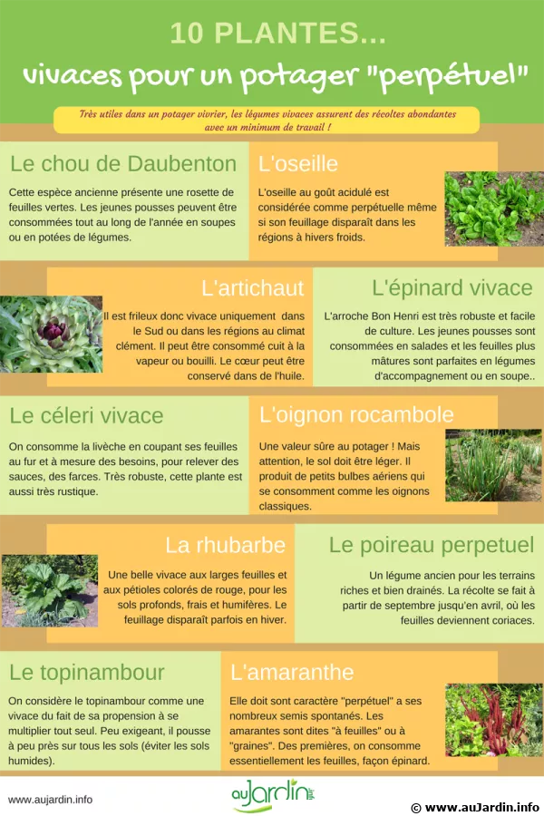 10 plantes vivaces pour un potager perptuel