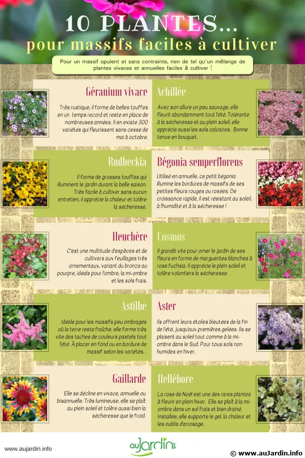 10 plantes pour des massifs faciles  cultiver