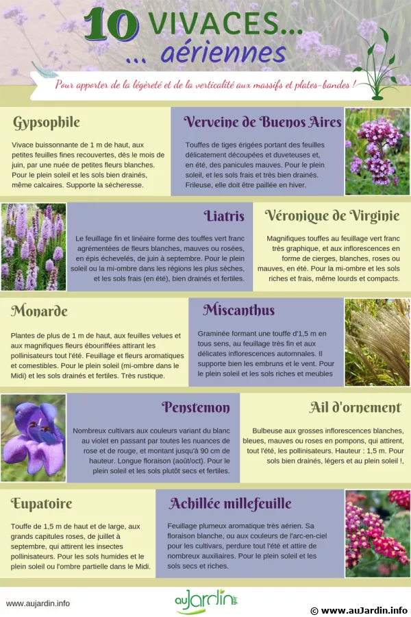 10 vivaces ariennes