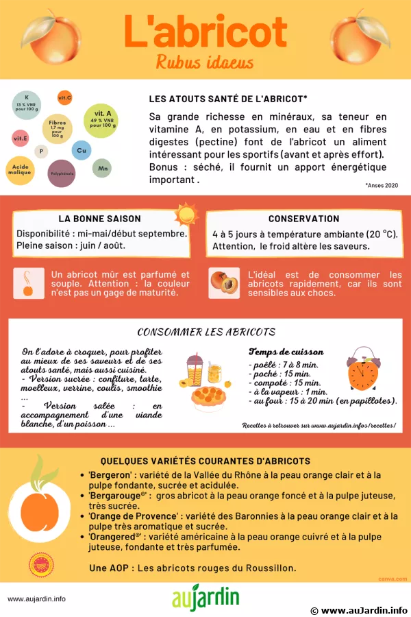 L'abricot, tantt sucr ou acidul,  croquer ou  cuisiner