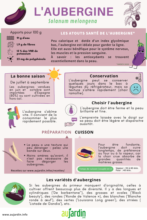 L'aubergine, un aliment de choix pour l'hydratation du corps et le confort intestinal