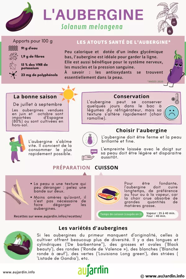 L'aubergine, un aliment de choix pour l'hydratation du corps et le confort intestinal