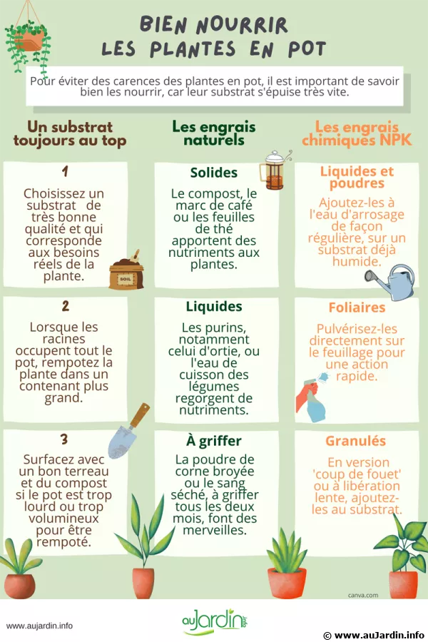 Bien nourrir les plantes en pot