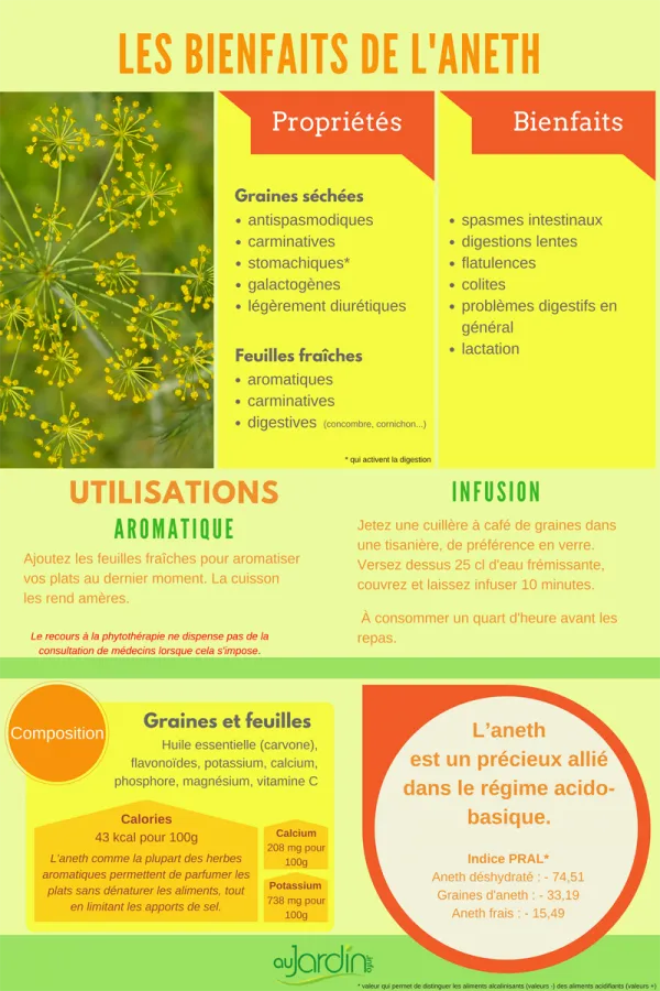 Les bienfaits de l'aneth