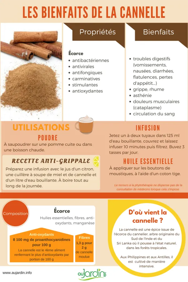 Les bienfaits de la cannelle