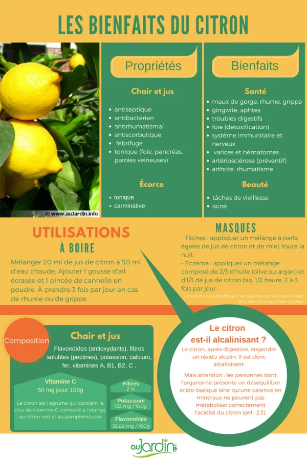 Les bienfaits du citron