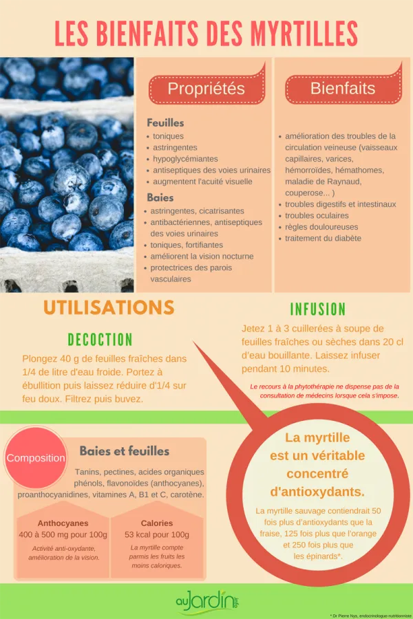 Les bienfaits de la myrtille