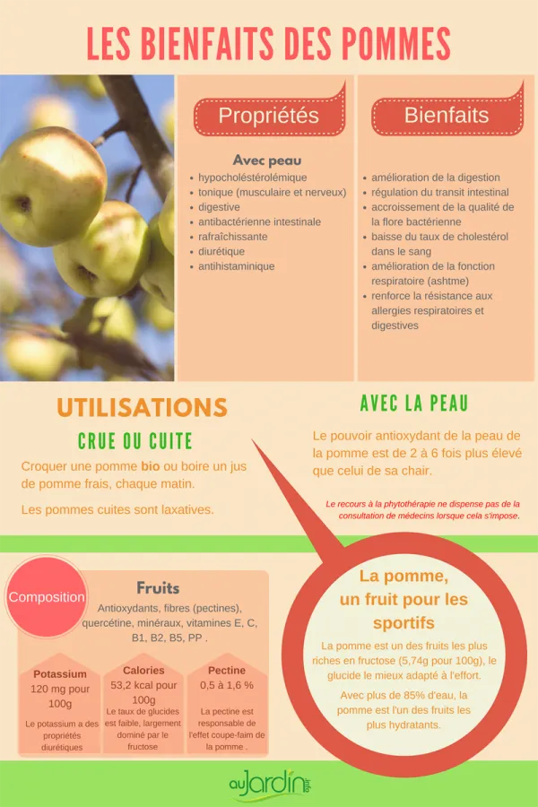 Les bienfaits de la pomme