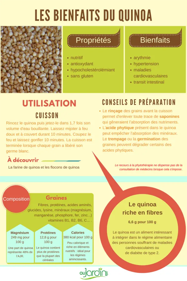 Les bienfaits du quinoa
