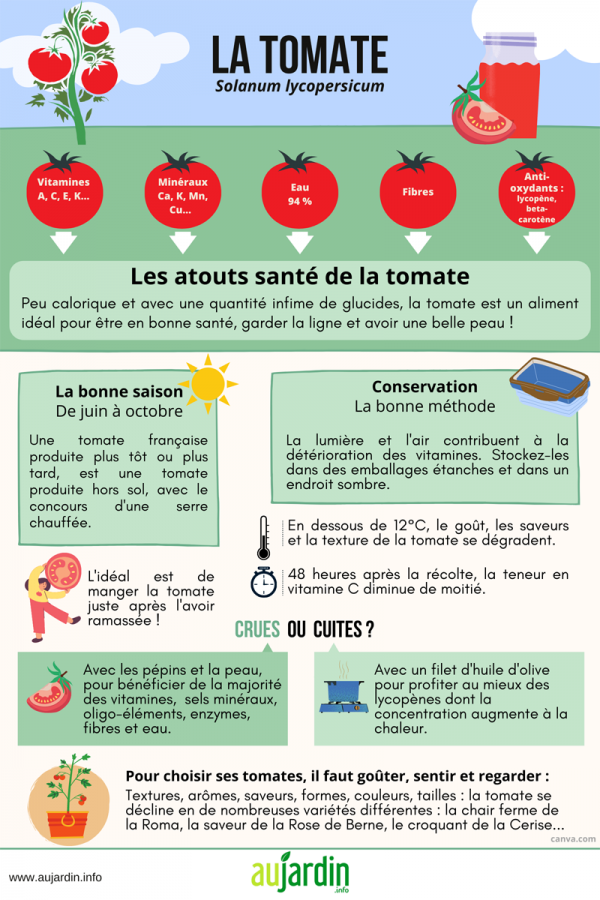 Pourquoi manger des fibres ? — La Récolte