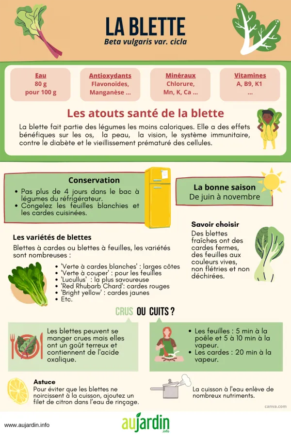 La blette, bette ou poire, un lgume mconnu avec bien des atouts