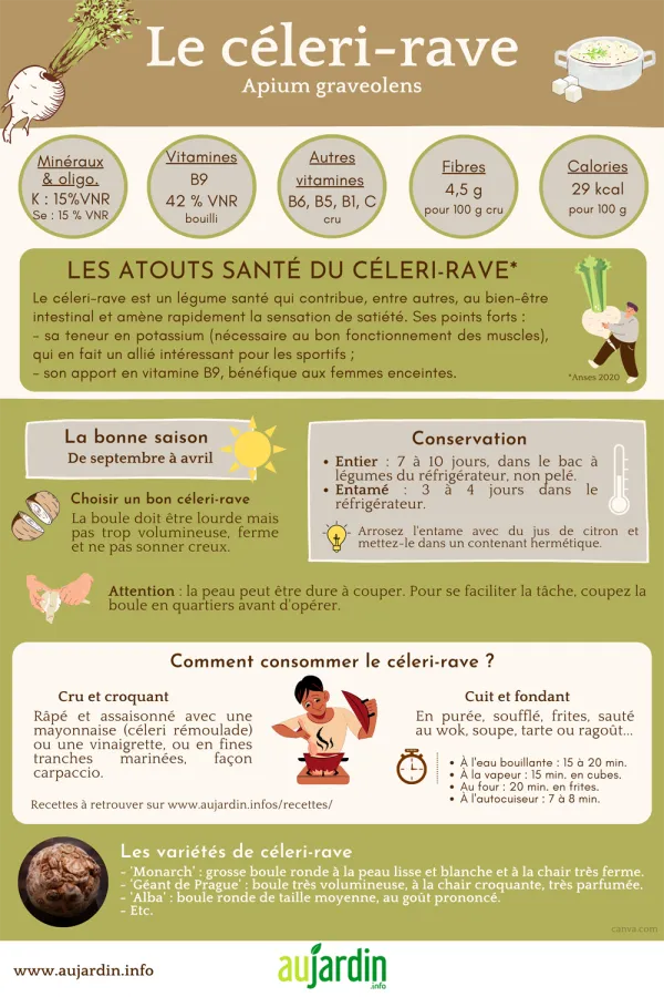 Le cleri-rave, des atouts sants et culinaires