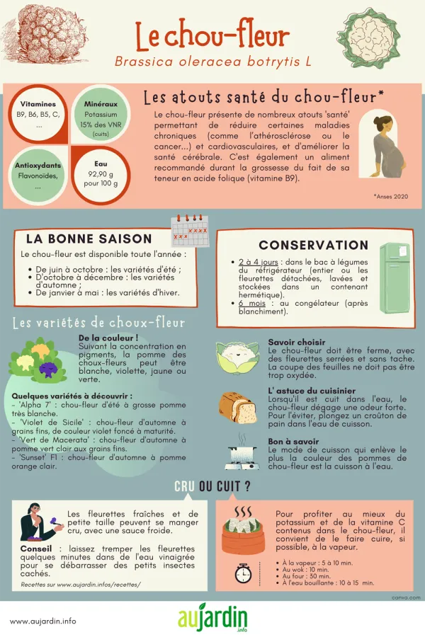 Le chou-fleur, cru, cuit, en toute saison