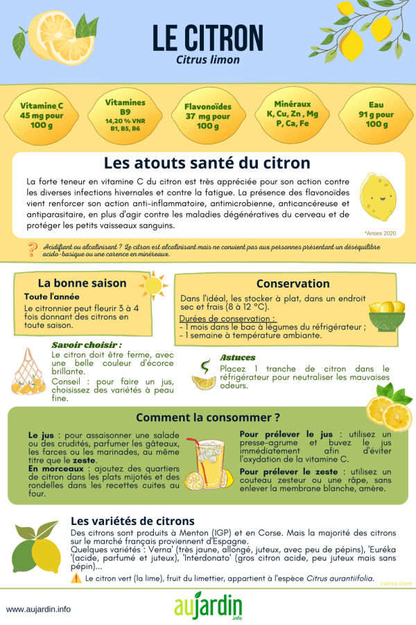 Le citron, de l'énergie en toutes saisons